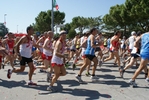 Nome del file=2338.jpg
Dimensione del file=159KiB
Dimensioni=1024x685
Aggiunta il=05 Giu 2012 2338.jpg