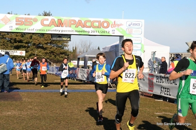 Clicca per vedere l'immagine alla massima grandezza