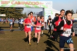 IMG_3978.jpg