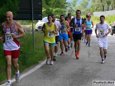 Clicca per vedere l'immagine alla massima grandezza