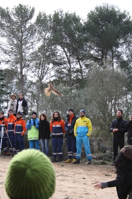 Clicca per vedere l'immagine alla massima grandezza
