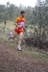 spc_548.jpg
