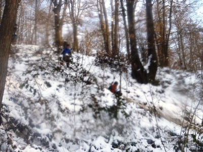 Clicca per vedere l'immagine alla massima grandezza