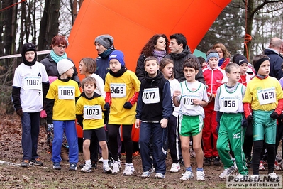 Clicca per vedere l'immagine alla massima grandezza