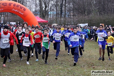 Clicca per vedere l'immagine alla massima grandezza