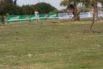 IMG_7378.jpg
