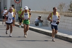 ulivi_319.jpg