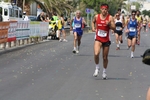 ulivi_903.jpg