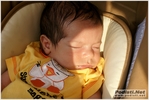 four_season_rub_borzano_2012_stefano_morselli_0099.JPG