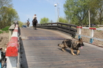 Filename=IMG_6147.JPG
Filesize=257KiB
Dimensions=907x605
Date added=Mar 25, 2012 IMG_6147.JPG