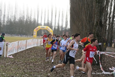 Clicca per vedere l'immagine alla massima grandezza