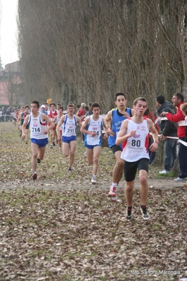 Clicca per vedere l'immagine alla massima grandezza
