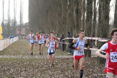 Clicca per vedere l'immagine alla massima grandezza