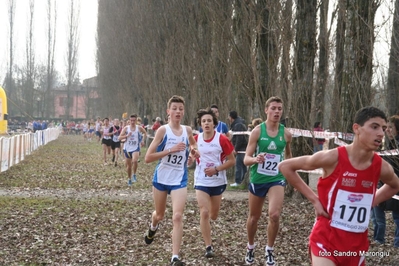 Clicca per vedere l'immagine alla massima grandezza