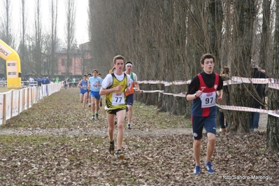 Clicca per vedere l'immagine alla massima grandezza