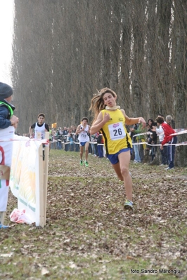 Clicca per vedere l'immagine alla massima grandezza