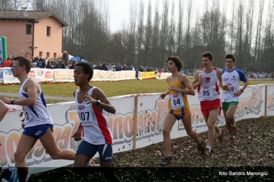 Clicca per vedere l'immagine alla massima grandezza