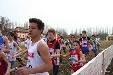 Clicca per vedere l'immagine alla massima grandezza