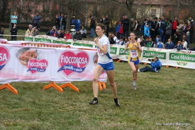 Clicca per vedere l'immagine alla massima grandezza