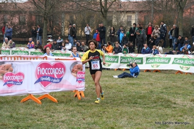 Clicca per vedere l'immagine alla massima grandezza