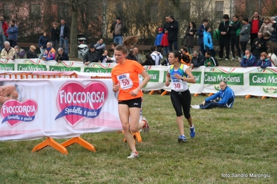 Clicca per vedere l'immagine alla massima grandezza