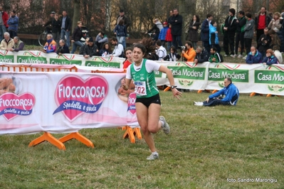 Clicca per vedere l'immagine alla massima grandezza