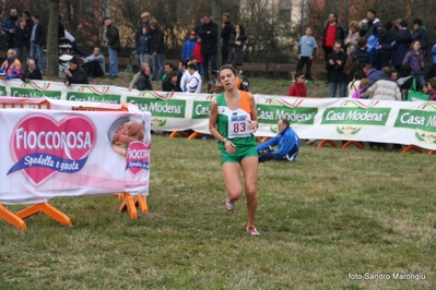 Clicca per vedere l'immagine alla massima grandezza