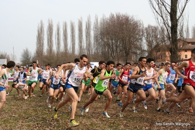Clicca per vedere l'immagine alla massima grandezza