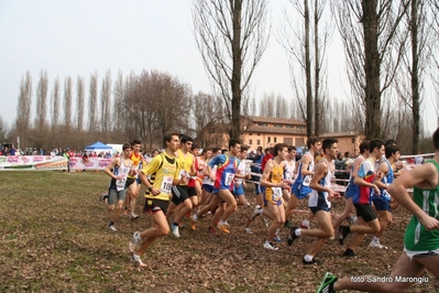 Clicca per vedere l'immagine alla massima grandezza