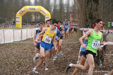 Clicca per vedere l'immagine alla massima grandezza