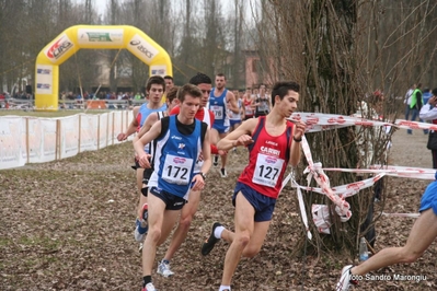 Clicca per vedere l'immagine alla massima grandezza