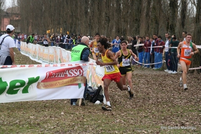 Clicca per vedere l'immagine alla massima grandezza
