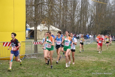 Clicca per vedere l'immagine alla massima grandezza