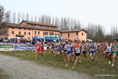 Clicca per vedere l'immagine alla massima grandezza