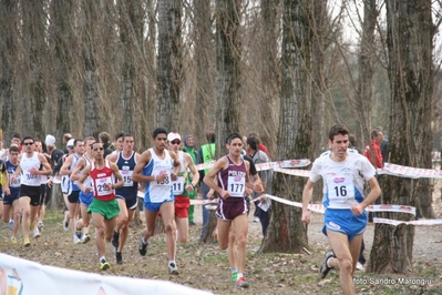 Clicca per vedere l'immagine alla massima grandezza