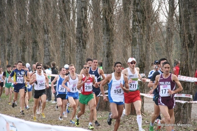 Clicca per vedere l'immagine alla massima grandezza