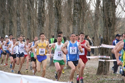 Clicca per vedere l'immagine alla massima grandezza