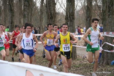 Clicca per vedere l'immagine alla massima grandezza
