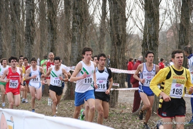 Clicca per vedere l'immagine alla massima grandezza