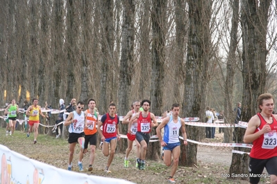 Clicca per vedere l'immagine alla massima grandezza
