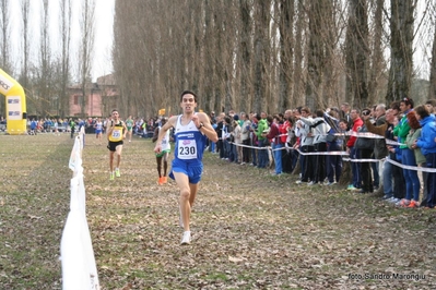 Clicca per vedere l'immagine alla massima grandezza