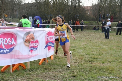 Clicca per vedere l'immagine alla massima grandezza