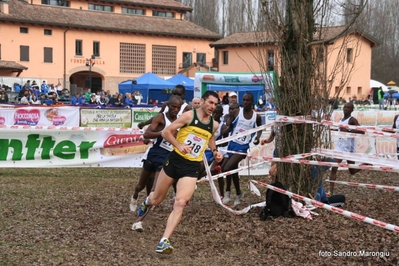 Clicca per vedere l'immagine alla massima grandezza