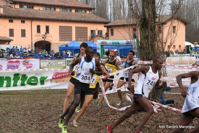 Clicca per vedere l'immagine alla massima grandezza