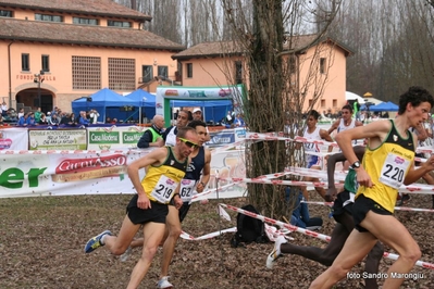 Clicca per vedere l'immagine alla massima grandezza