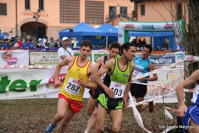 Clicca per vedere l'immagine alla massima grandezza