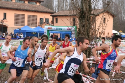 Clicca per vedere l'immagine alla massima grandezza