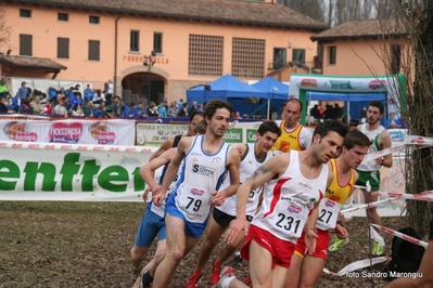 Clicca per vedere l'immagine alla massima grandezza