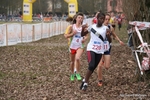 IMG_7882.jpg