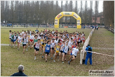 Clicca per vedere l'immagine alla massima grandezza